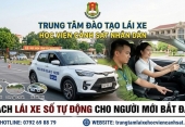Cách lái xe số tự động cho người mới bắt đầu – Chi tiết từ A-Z